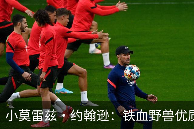 小莫雷兹·约翰逊：铁血野兽优质冠军拼图 开发三分顺位直逼乐透